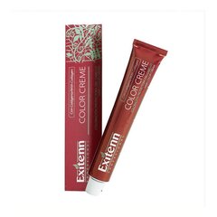 Постоянная краска Color Creme Exitenn Nº 2 Red Fuchsia, 60 мл цена и информация | Краска для волос | kaup24.ee
