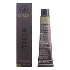 Постоянная краска I.c.o.n. Toner Silver, 60 мл цена и информация | Краска для волос | kaup24.ee