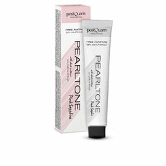 Püsivärv Postquam Pearltone Pink Shaphir (60 ml) цена и информация | Краска для волос | kaup24.ee