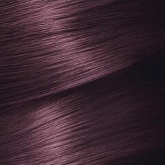 Постоянная краска Garnier Nutrisse Cassis Nº 4,26 цена и информация | Краска для волос | kaup24.ee