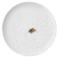 Taldrik "Golden Bird" Porcelain stories 14 cm hind ja info | Lauanõud ja kööginõud | kaup24.ee