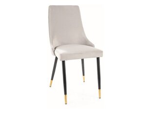 Söögitoolide komplekt Signal Piano Velvet, 2 tooli, hall/must hind ja info | Söögilaua toolid, köögitoolid | kaup24.ee