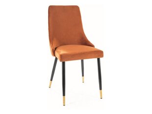 Söögitoolide komplekt Signal Piano Velvet, 2 tooli, oranž/must hind ja info | Söögilaua toolid, köögitoolid | kaup24.ee