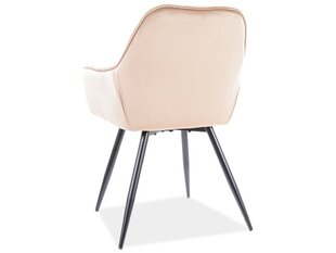 Söögitoolide komplekt Signal Cherry Monolith, 2 tooli, roosa/must hind ja info | Söögilaua toolid, köögitoolid | kaup24.ee