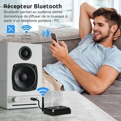 Juhtmeta helisaatja-vastuvõtja 1MII, B310Pro, must, цена и информация | Адаптеры и USB-hub | kaup24.ee