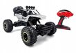RC auto Rock Crawler 4x4, 1:12 hind ja info | Poiste mänguasjad | kaup24.ee