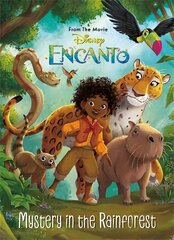 Disney Encanto: Mystery in the Rainforest hind ja info | Väikelaste raamatud | kaup24.ee