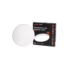 LED lamp Slim Circular Microwave Sensor 18W 3000K/4000K/6000K 1900Lm 5-15m IP65 IK10 5H-Accumulator 03039 Thorgeon цена и информация | Монтируемые светильники, светодиодные панели | kaup24.ee