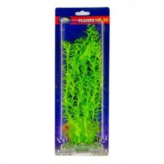 Plastikust akvaariumitaim Aqua Nova 30cm hind ja info | Akvaariumi taimed ja dekoratsioonid | kaup24.ee