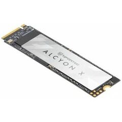 Nfortec Alcyon X 512 GB SSD hind ja info | Välised kõvakettad (SSD, HDD) | kaup24.ee