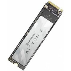 Nfortec Alcyon X 512 GB SSD hind ja info | Välised kõvakettad (SSD, HDD) | kaup24.ee