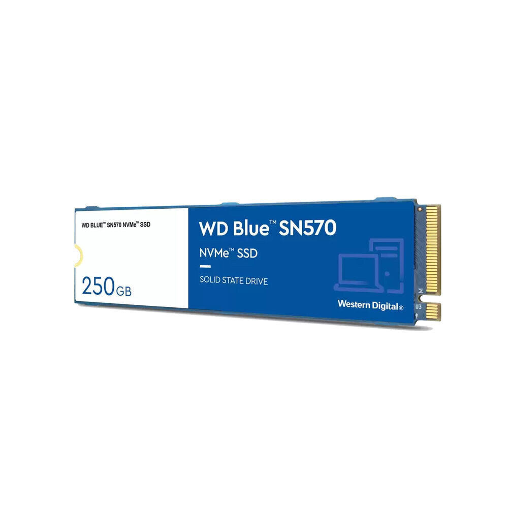 Kõvaketas Western Digital WD Blue SN570 250 GB M.2 цена и информация | Välised kõvakettad (SSD, HDD) | kaup24.ee
