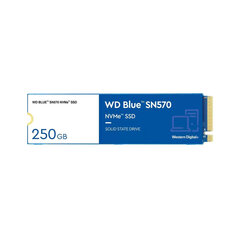 Kõvaketas Western Digital WD Blue SN570 250 GB M.2 hind ja info | Välised kõvakettad (SSD, HDD) | kaup24.ee