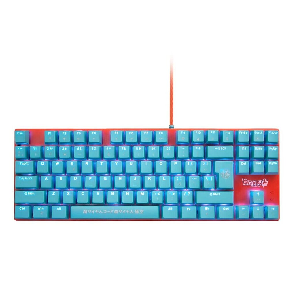 Fr-Tec DBPCKEYGO hind ja info | Klaviatuurid | kaup24.ee