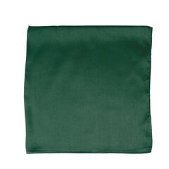 Лёгкий платок для женщин 35175-3 цена и информация | Женские шарфы, платки | kaup24.ee
