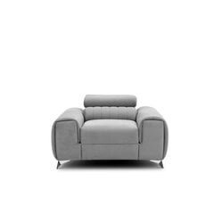 Кресло  Laurence, серый цвет цена и информация | Кресла в гостиную | kaup24.ee