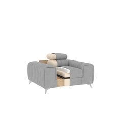Кресло  Laurence, серый цвет цена и информация | Кресла в гостиную | kaup24.ee