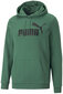 Puma Džemper Ess Big Logo Hoodie Green 586687 46 586687 46/L hind ja info | Meeste pusad | kaup24.ee