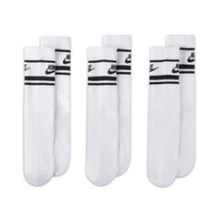 Nike sokid EVERYDAY ESSENTIAL 3 pk, valge цена и информация | Мужские носки | kaup24.ee