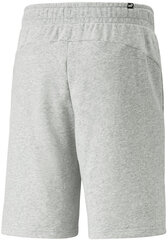 Puma Lühikesed Püksid Ess+ 2 Col Shorts Grey 586766 04 586766 04/M hind ja info | Meeste lühikesed püksid | kaup24.ee