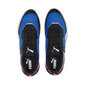 Puma Jalatsid Bmw Mms Speedfusion Black Blue Red 307239 04 307239 04/10.5 hind ja info | Spordi- ja vabaajajalatsid meestele | kaup24.ee