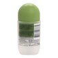 Rull-deodorant Sanex Natur Protect (50 ml) hind ja info | Deodorandid | kaup24.ee