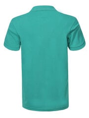 Glo Story Polo Särgid Green MTS D0090 MTS D0090/L цена и информация | Мужские толстовки | kaup24.ee