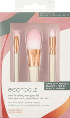 Набор кисточек для макияжа Ecotools Ready Glow, лимитированная серия, 3 предмета цена и информация | Кисти для макияжа, спонжи | kaup24.ee