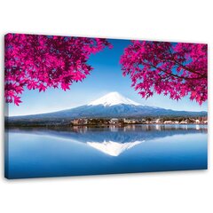 Seinapilt Fuji järve mägi ja roosad lehed hind ja info | Seinapildid | kaup24.ee