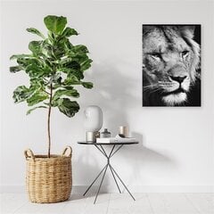 Seinapilt Must-valge lõvi цена и информация | Картины, живопись | kaup24.ee