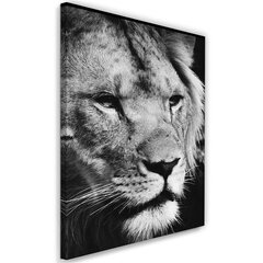 Seinapilt Must-valge lõvi цена и информация | Картины, живопись | kaup24.ee