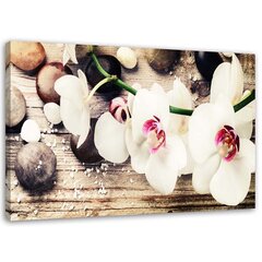 Seinapilt Valgetest orhideedest цена и информация | Картины, живопись | kaup24.ee