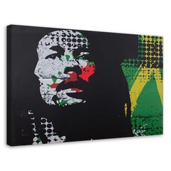 Seinapilt Bob Marley hind ja info | Seinapildid | kaup24.ee
