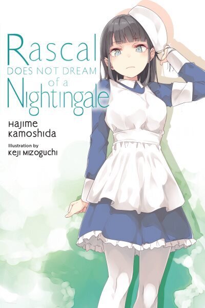 Rascal Does Not Dream, Vol. 11 hind ja info | Fantaasia, müstika | kaup24.ee