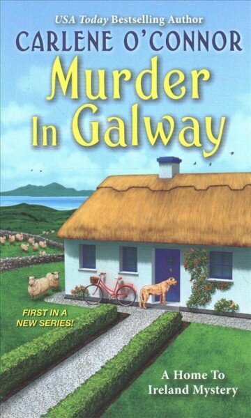 Murder in Galway hind ja info | Fantaasia, müstika | kaup24.ee