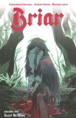 Briar: Vol. 1 цена и информация | Фантастика, фэнтези | kaup24.ee