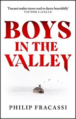Boys in the Valley hind ja info | Fantaasia, müstika | kaup24.ee