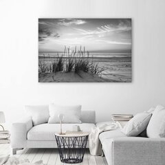 <p>Холст, травы на пляже - черно -белый</p>
 цена и информация | Картины, живопись | kaup24.ee
