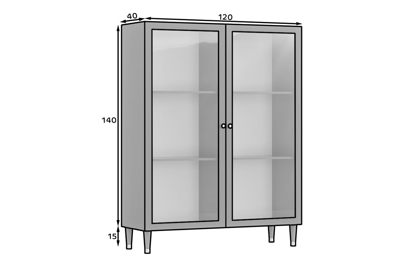 Vitriinkapp Includo, 120x40x155 cm, sinine цена и информация | Vitriinkapid | kaup24.ee