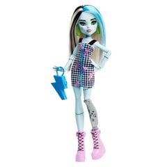 Кукла Monster High цена и информация | Игрушки для девочек | kaup24.ee