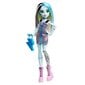 Nukk Monster High hind ja info | Tüdrukute mänguasjad | kaup24.ee
