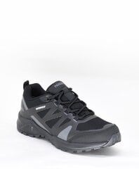 Обувь в спортивном стиле для мужчин, Paredes 13621491.46 цена и информация | Кроссовки для мужчин | kaup24.ee