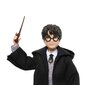 Nukk Harry Potter ja võluri müts Harry Potter цена и информация | Poiste mänguasjad | kaup24.ee