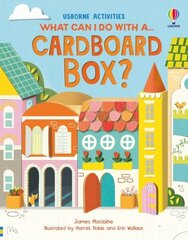 What Can I Do With a Cardboard Box? цена и информация | Книги для подростков и молодежи | kaup24.ee