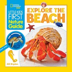 Explore the Beach цена и информация | Книги для подростков и молодежи | kaup24.ee