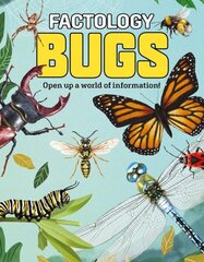Factology: Bugs: Open Up a World of Information! цена и информация | Книги для подростков и молодежи | kaup24.ee