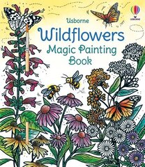 Wildflowers Magic Painting Book hind ja info | Väikelaste raamatud | kaup24.ee