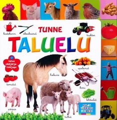 Tunne Taluelu hind ja info | Väikelaste raamatud | kaup24.ee