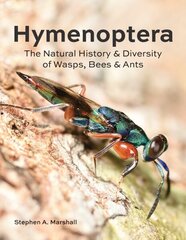 Hymenoptera: The Natural History and Diversity of Wasps, Bees and Ants цена и информация | Книги о питании и здоровом образе жизни | kaup24.ee