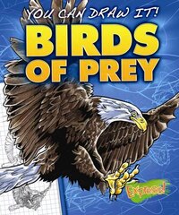 Birds of Prey hind ja info | Noortekirjandus | kaup24.ee